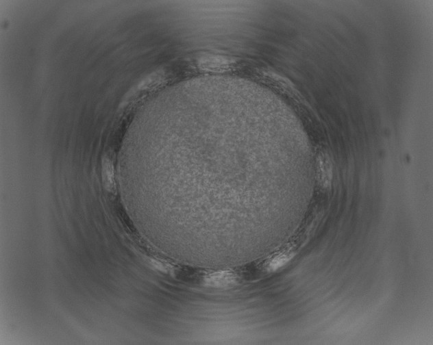 X0000073740705200608171306