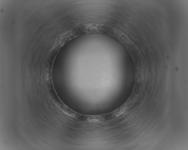 X0000073740706200608171306