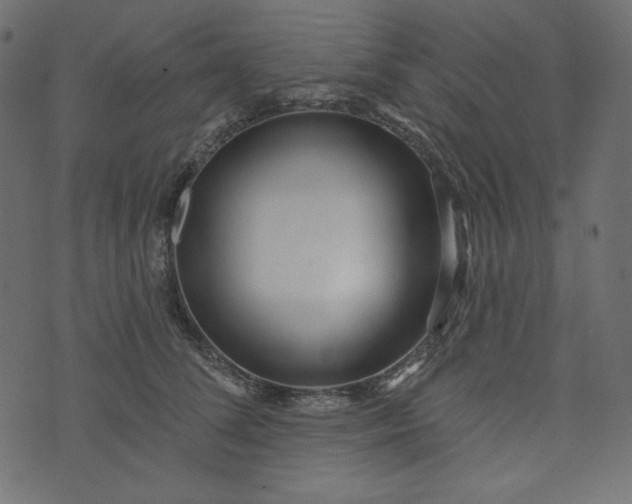 X0000073740708200608171306