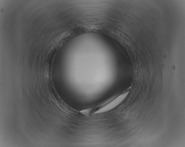 X0000073740710200608171306