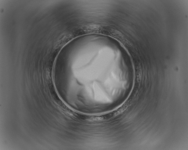 X0000073740711200608171306