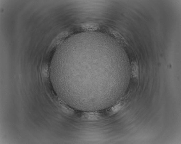 X0000073740713200608171306