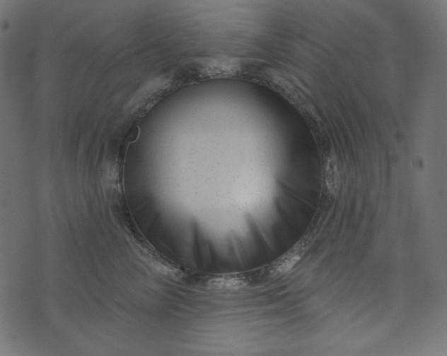 X0000073740714200608171306