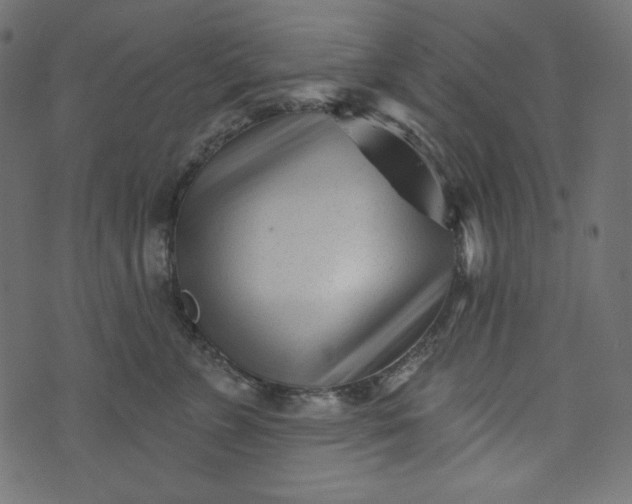 X0000073740715200608171306