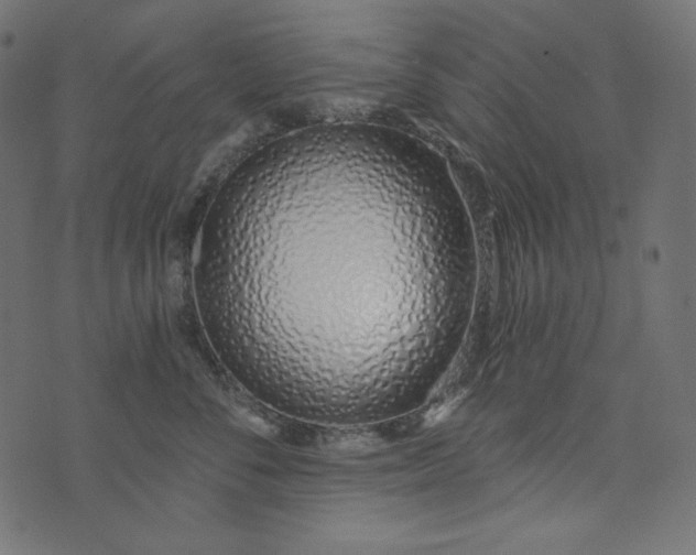 X0000073740716200608171306