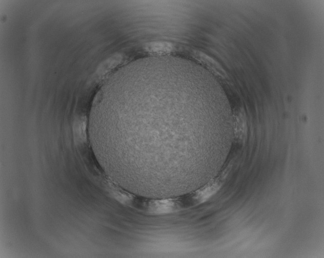 X0000073740717200608171306
