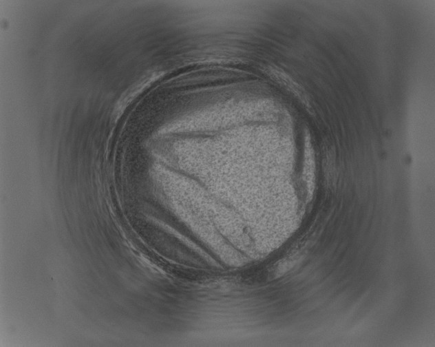 X0000073740721200608171305