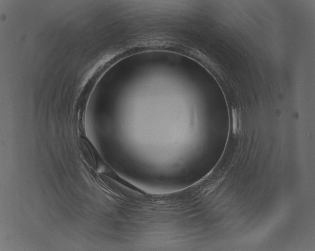 X0000073740723200608171305
