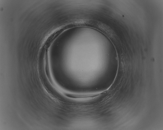 X0000073740728200608171305