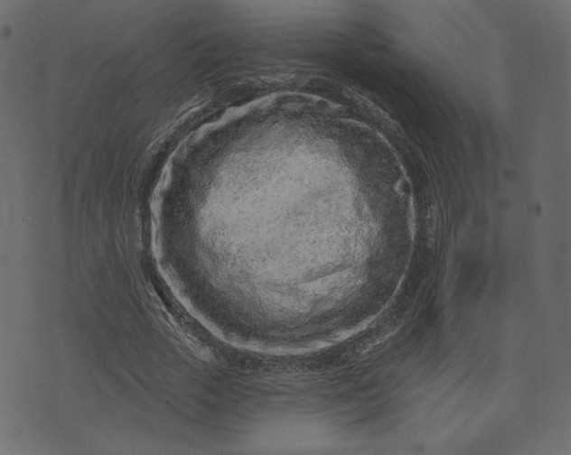 X0000073740729200608171305