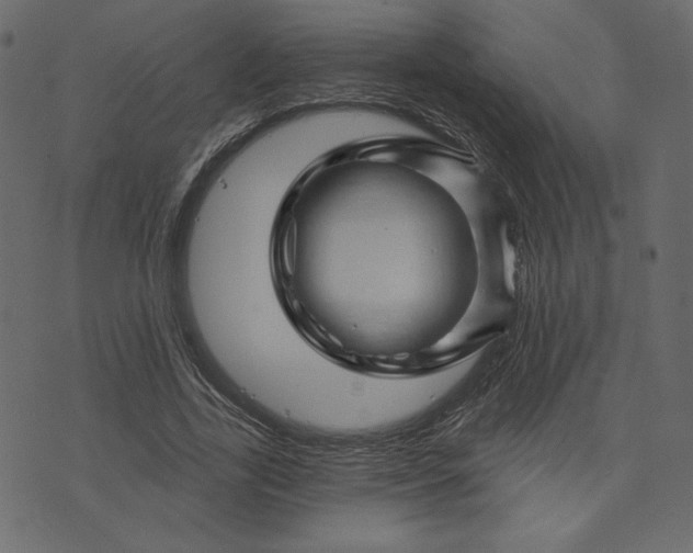 X0000073740731200608171305