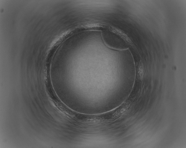 X0000073740732200608171305