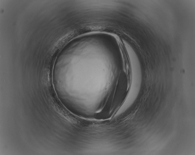 X0000073740733200608171305
