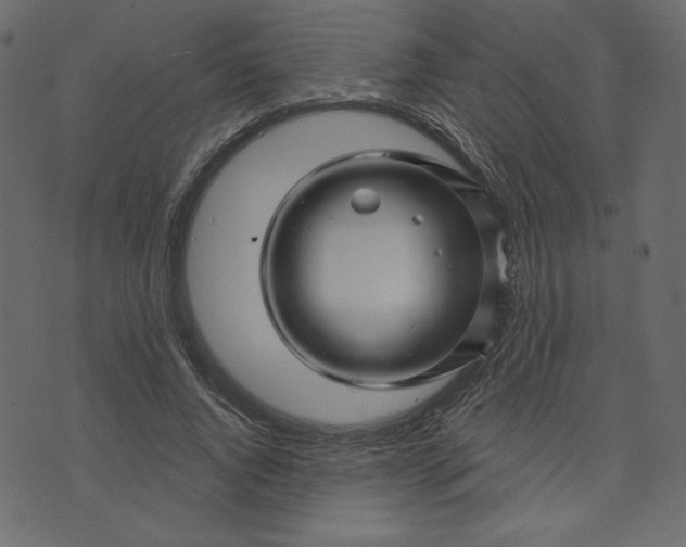 X0000073740736200608171305