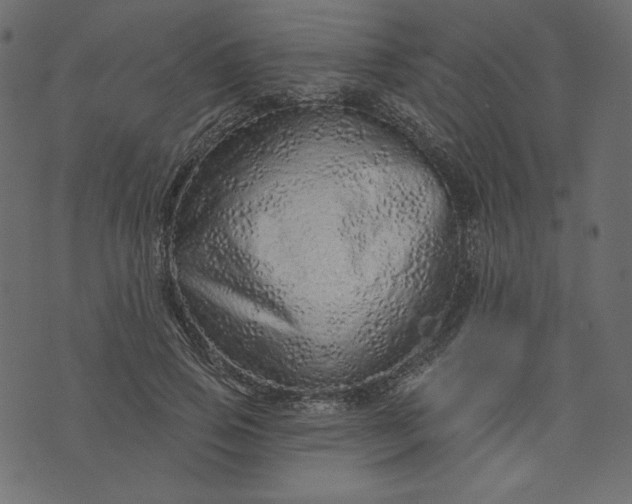 X0000073740741200608171305
