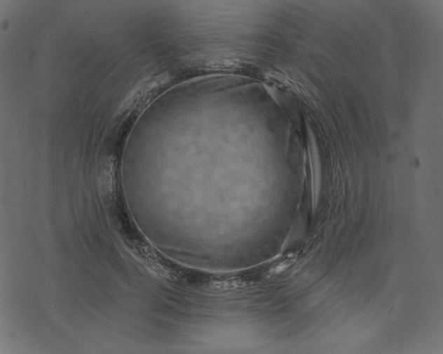 X0000073740744200608171305