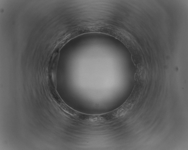 X0000073740752200608171306