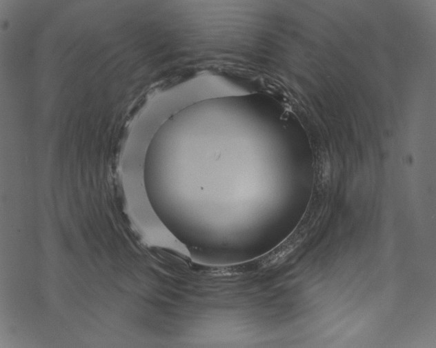 X0000073740759200608171306