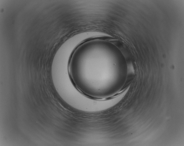 X0000073740760200608171306