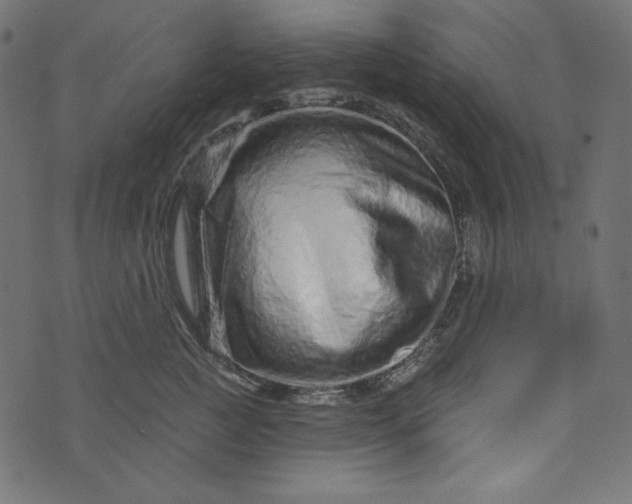 X0000073740761200608171306