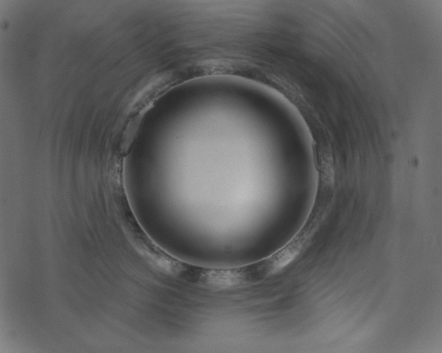 X0000073740766200608171306