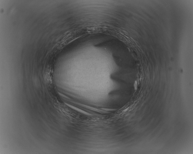 X0000073740770200608171305