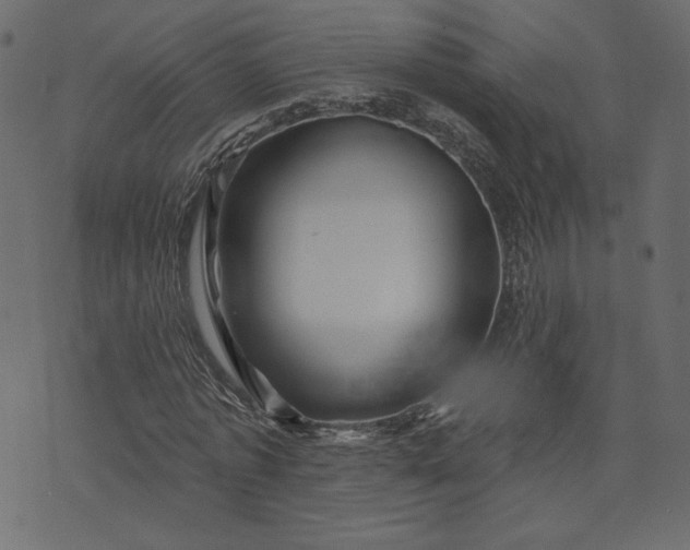 X0000073740773200608171305