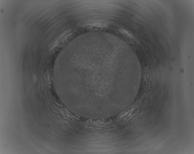 X0000073740774200608171305
