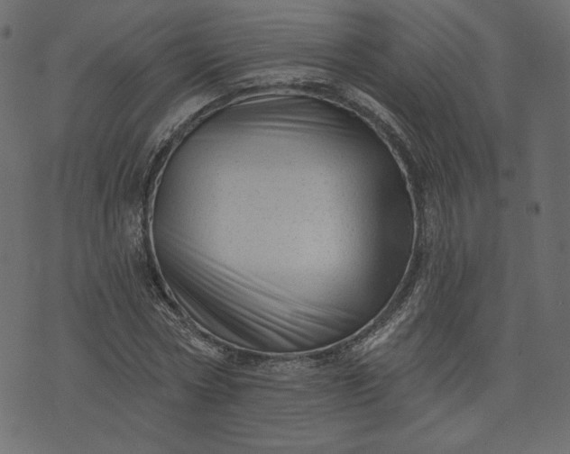 X0000073740778200608171305