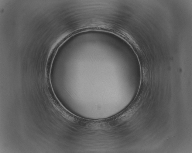 X0000073740780200608171305