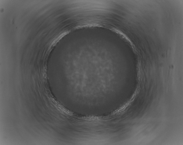 X0000073740785200608171305