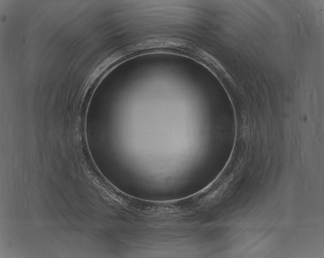 X0000073740786200608171305