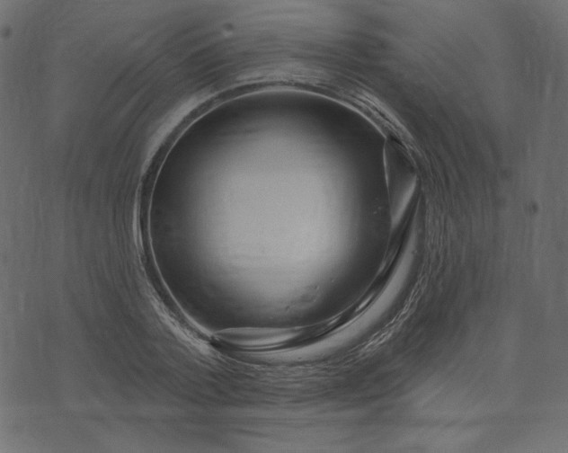 X0000073740788200608171305