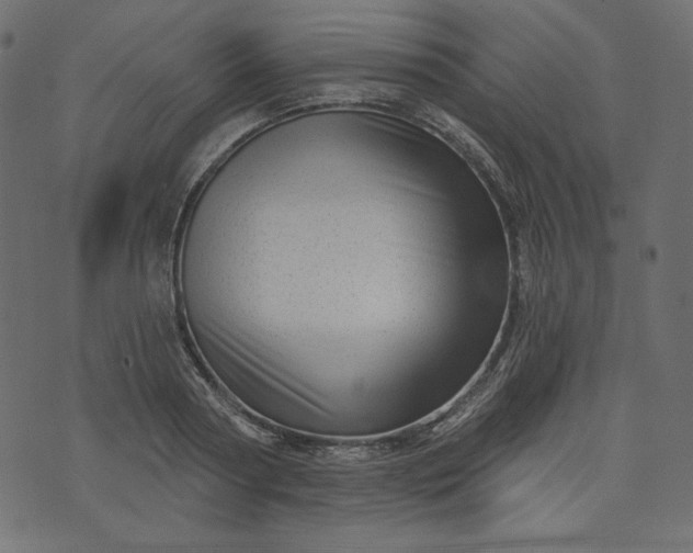 X0000073740794200608171305