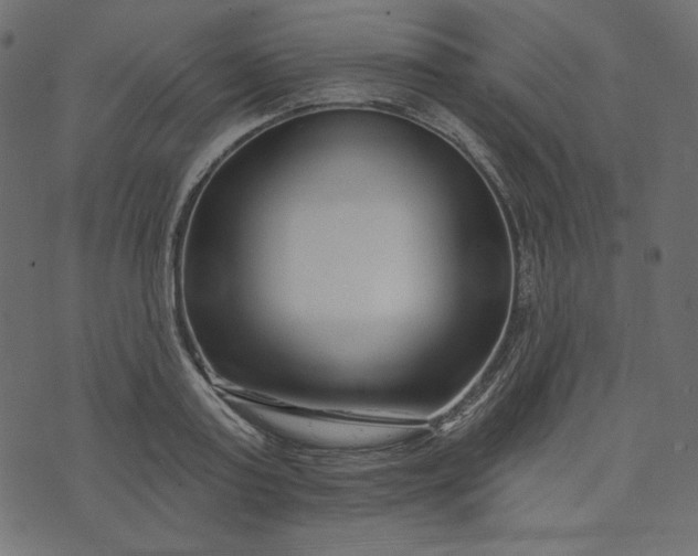 X0000073740795200608171305