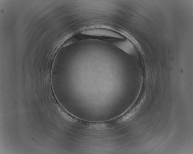 X0000073740801200608171305