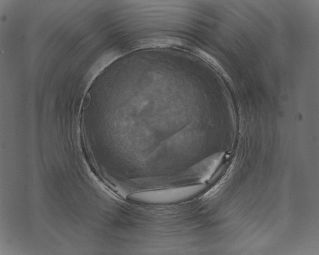 X0000073740802200608171305