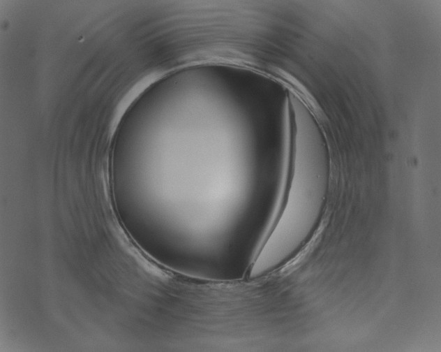 X0000073740812200608171304