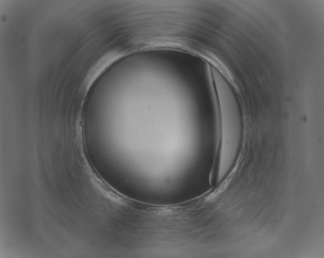 X0000073740814200608171304