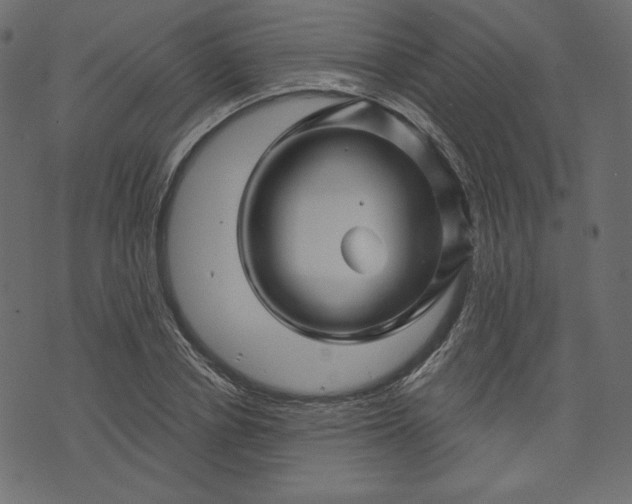 X0000073740834200608171304