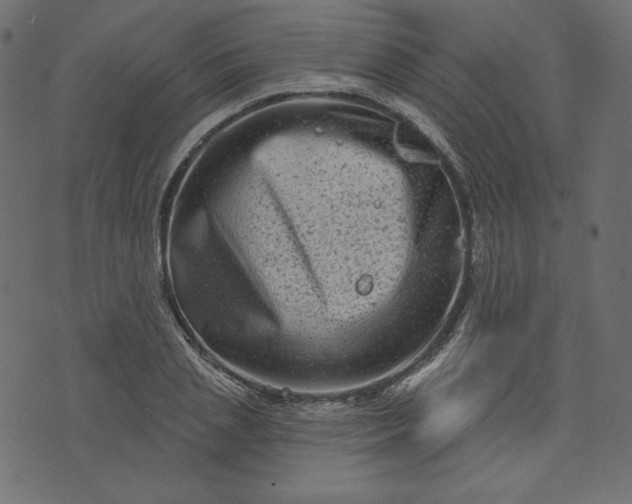 X0000073740837200608171304