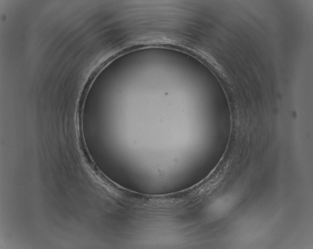 X0000073740840200608171304