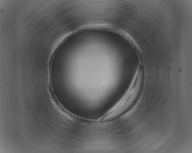 X0000073740844200608171304