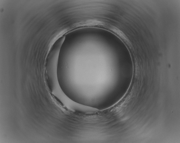 X0000073740850200608171304