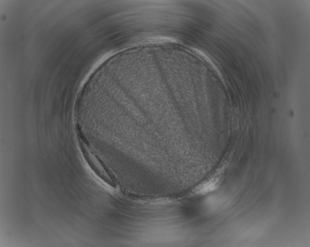X0000073740851200608171304