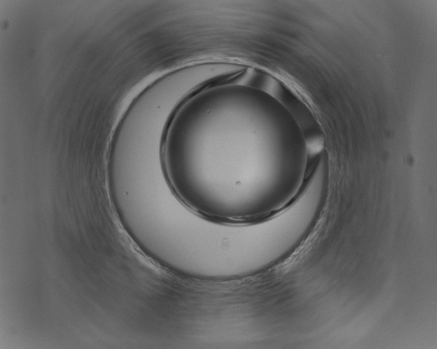 X0000073740854200608171304