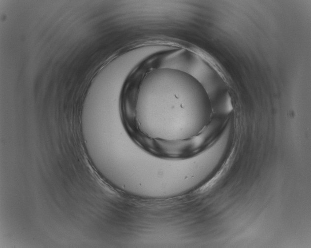 X0000073740857200608171304