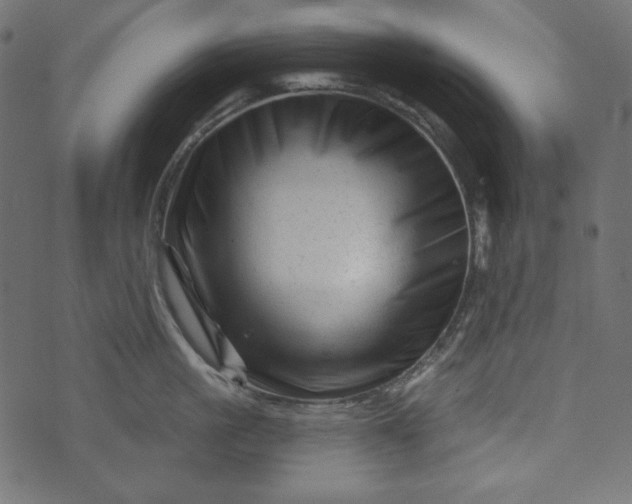 X0000073740861200608171304