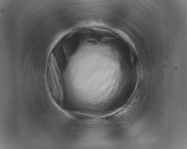 X0000073740863200608171304