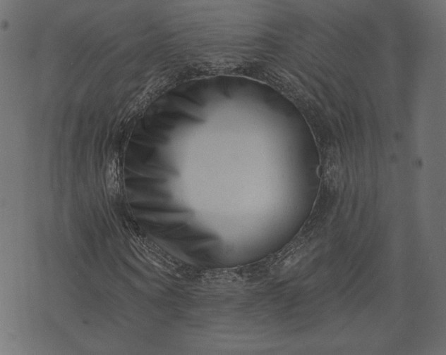 X0000073740866200608171303